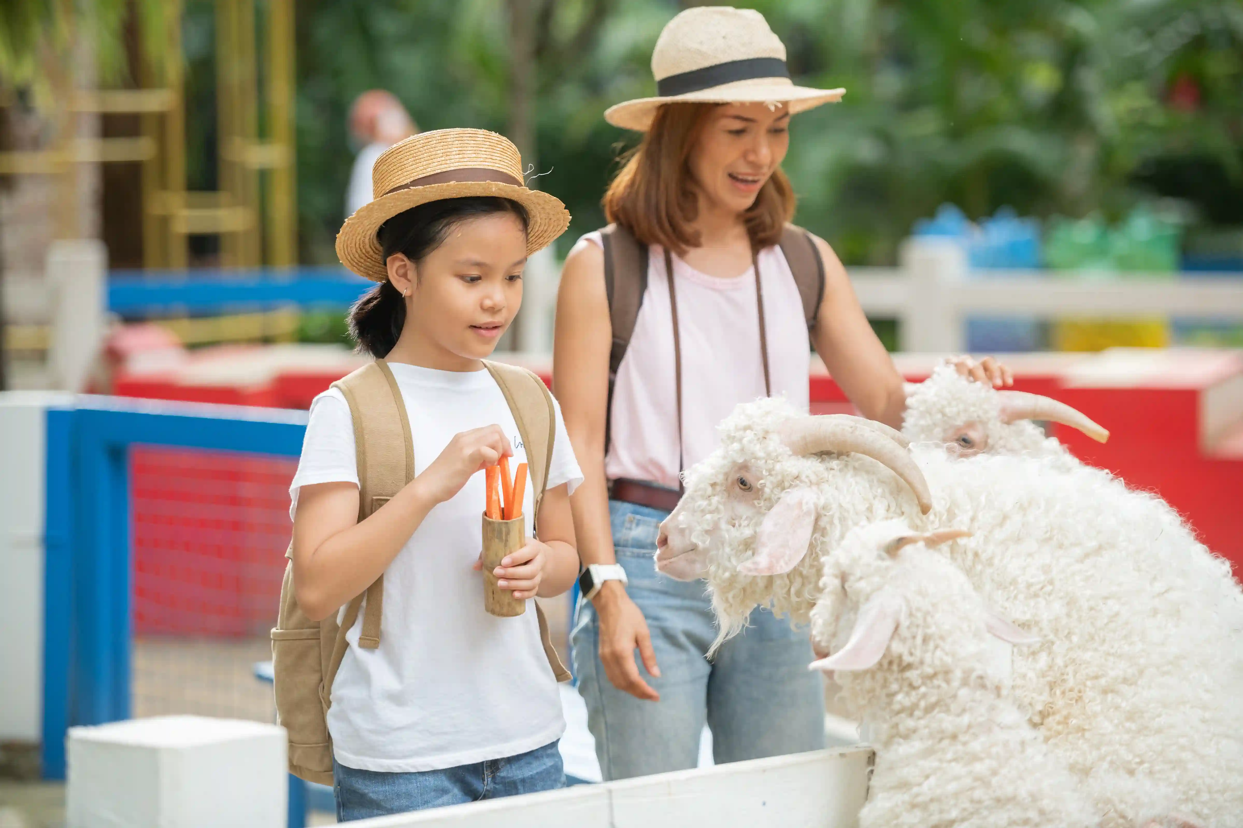 Apa Itu Wisata Edukasi? Kenali Manfaatnya untuk Anak